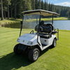 Electric Golf Cart 4 Seater, Durable Golf Buggy for Golf Course, Hotel & Tourist Attraction