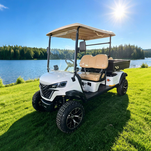 Electric Off Road Lifted Utility Golf Cart with Cargo Box