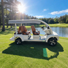 6 Seater Electric Golf Cart for Sale - China Commercial Golf Buggy Supplier 