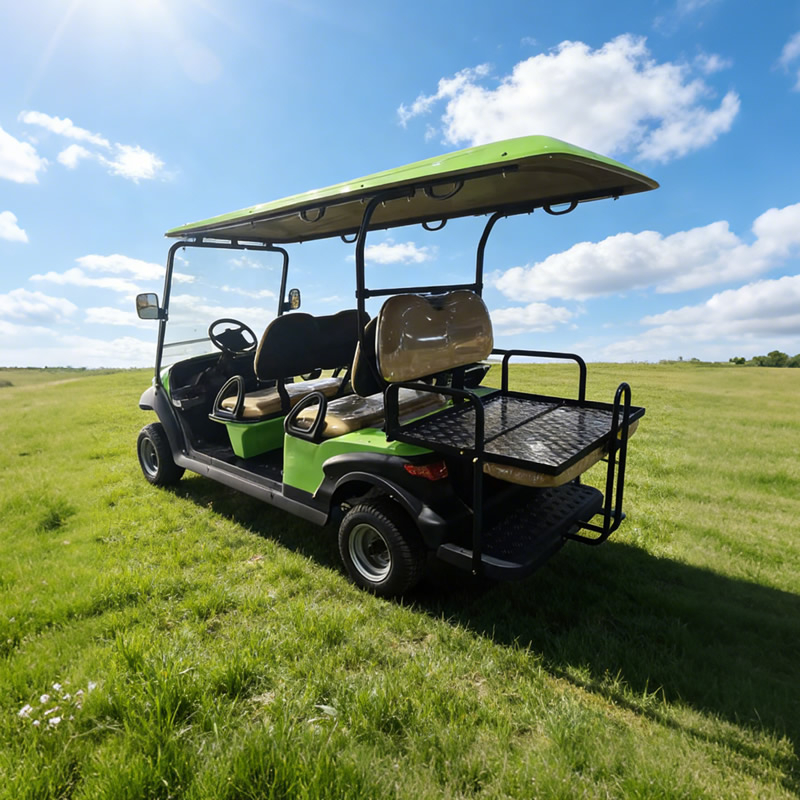 Wholesale Price Utility 48v Golf Carts 6 Passenger Seater for Sale - Eagle