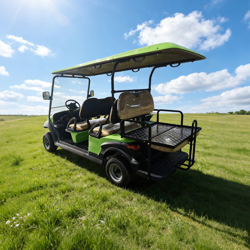 Wholesale Price Utility 48v Golf Carts 6 Passenger Seater for Sale - Eagle