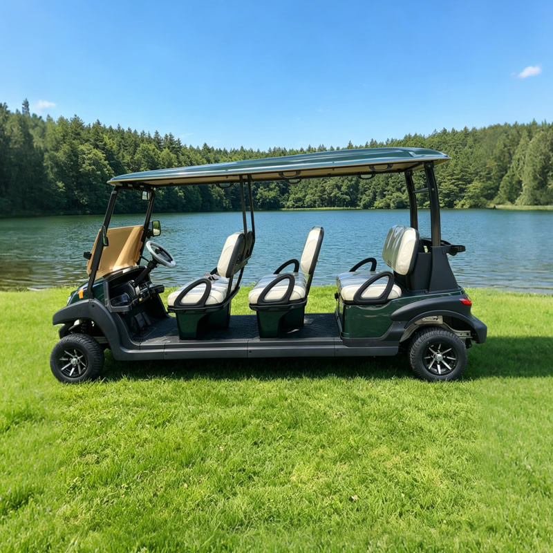 Carros Palos De Golf Electricos Nuevos Chinos Republica Dominicana Personalizados - Eagle Golf Cart