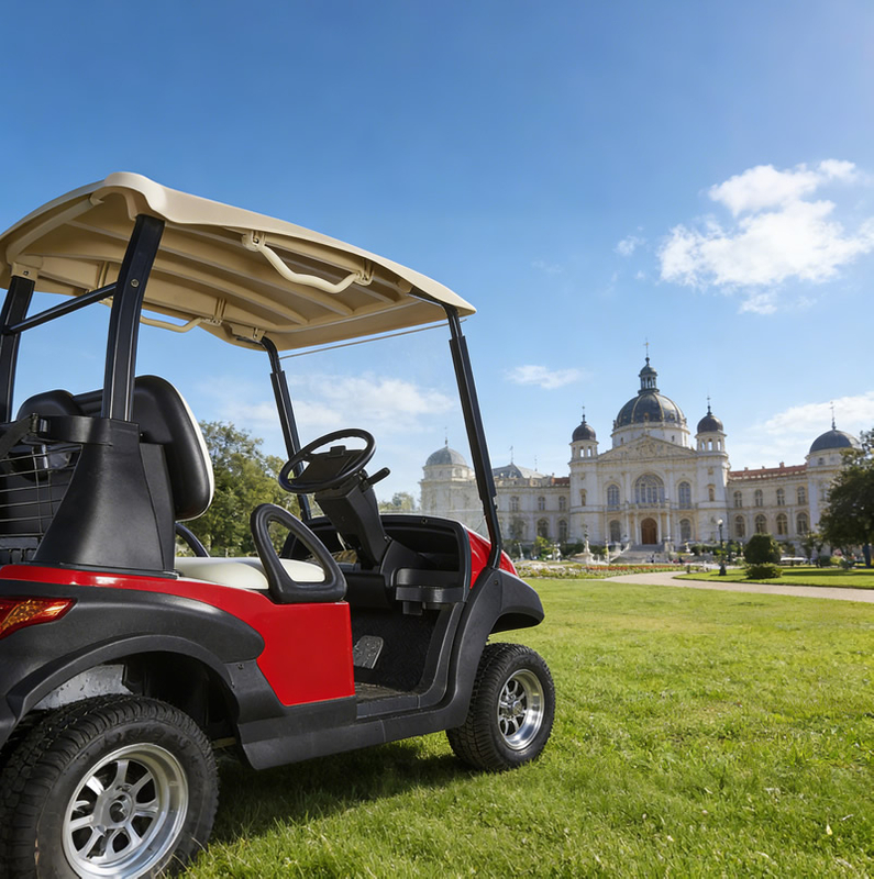 High Quality 2 Seater Mini Electric Battery Golf Cart 