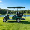 Custom Mini Electric LSV Golf Cart Golf Buggy Carts for Sale - Eagle Golf Cart