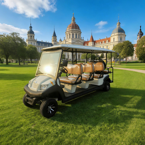 Eight 8 Passenger Person Seater Electric Buggy Golf Carts for Sale