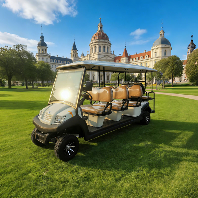 Eight 8 Passenger Person Seater Electric Buggy Golf Carts for Sale