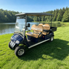 Wholesale Golf Cart 4 Seater with Box - Eagle Golf Cart