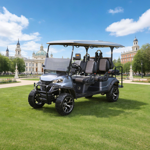 Custom Lithium Battery 48v Six 6 Seater Wholesale Golf Carts