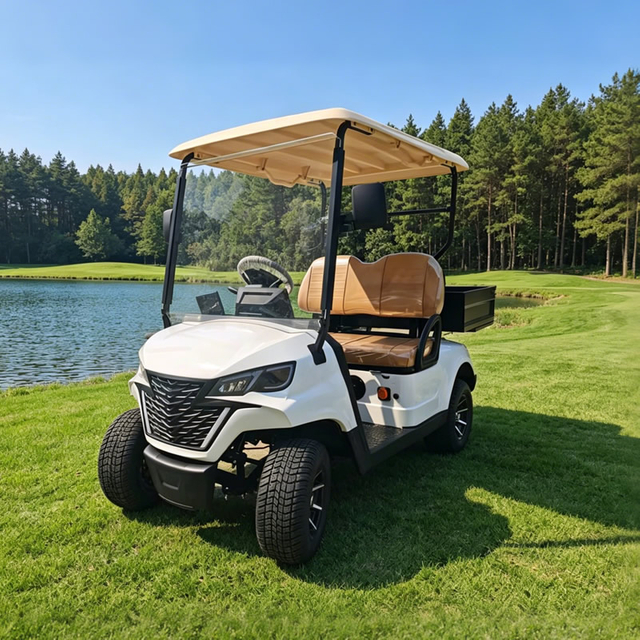 Premium Mini Electric Golf Buggy Carts with Cargo Dump Bed | Efficient & Eco-Friendly Solutions