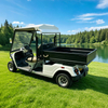Custom Electric Street Legal Cargo Golf Carts with Box - Eagle Golf Cart