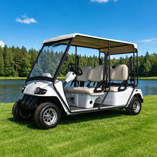 Custom Street Legal Electric Golf Cart - Eagle Golf Cart