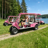 Luxury 6-Seater Pink Electric Sightseeing Car for Theme Parks - Eagle