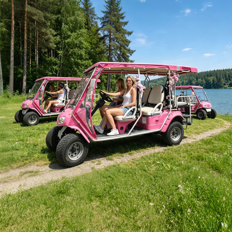 Luxury 6-Seater Pink Electric Sightseeing Car for Theme Parks - Eagle