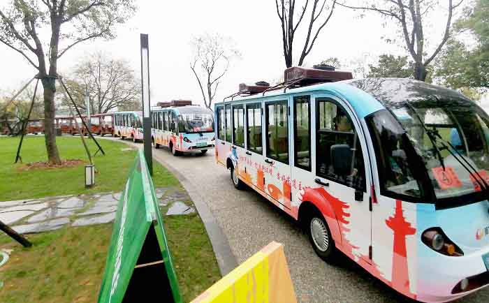 eagle electric sightseeing bus