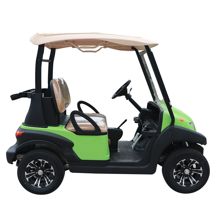 Custom Best 48V Mini Farm Electric Battery Lithium Golf Cart