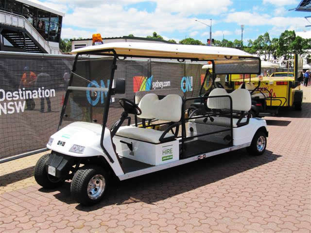 handicapped golf cart