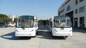 electric travel sightseeing car.jpg