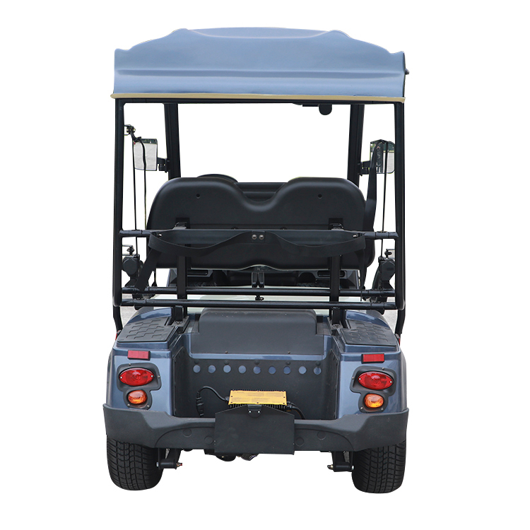 Lithium Electric 2 Passenger Vehicles Hunting Golf Carts Manufacturer - 2028H