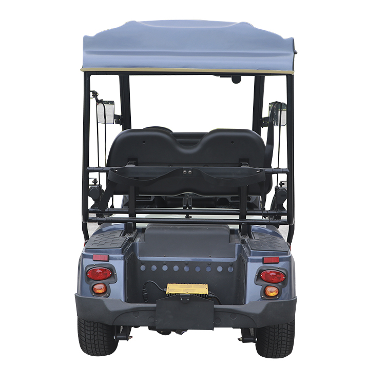 Lithium Electric 2 Passenger Vehicles Hunting Golf Carts Manufacturer - 2028H