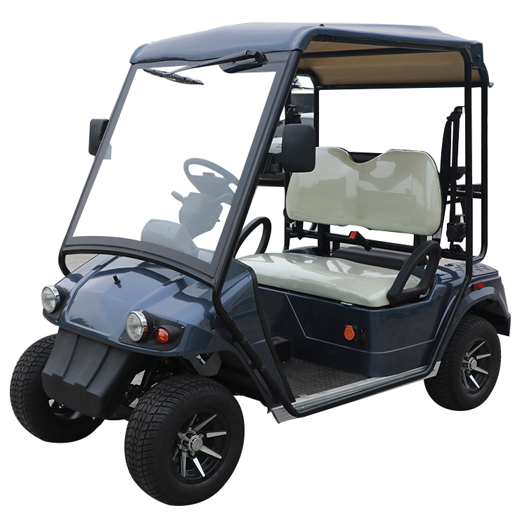 Lithium Electric 2 Passenger Vehicles Hunting Golf Carts Manufacturer - 2028H