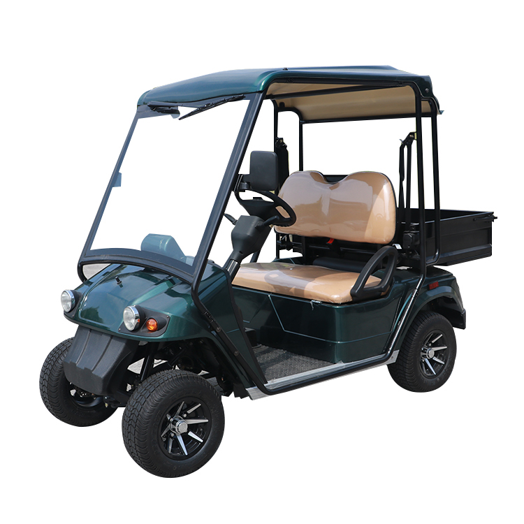 China Mini 2 Seater Electric Hunting Offroad Golf Off Road Buggy - 2028HR