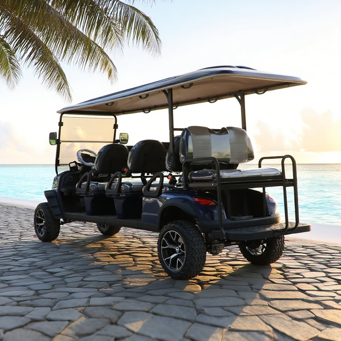 Custom Electric Lithium 6+2 8 Seater Passenger Golf Cart