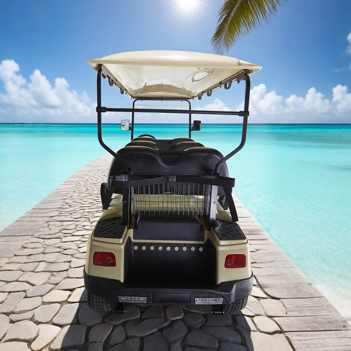 Custom Vehicle Sightseeing Bus Car 6 Passenger Person Seat Electric Golf Cart - Eagle Golf Cart