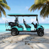 Wholesale Custom Lithium Electric Lifted Carts Golf Cart 6 Seater
