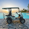 Wholesale Chinese 48V 2 Seat Off Road Golf Cart Manufacturer