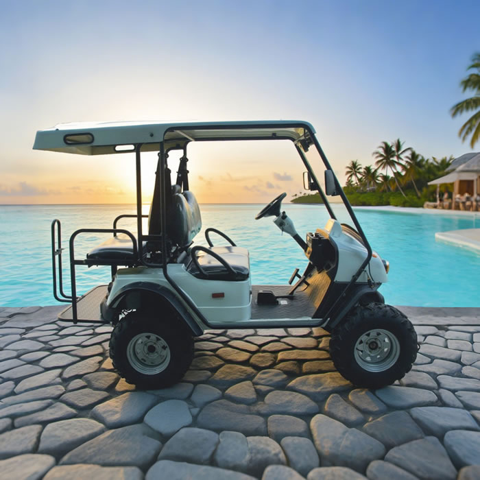 Wholesale Chinese 48V 2 Seat Off Road Golf Cart Manufacturer