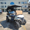 Custom 2 Person Electric Golf Cart