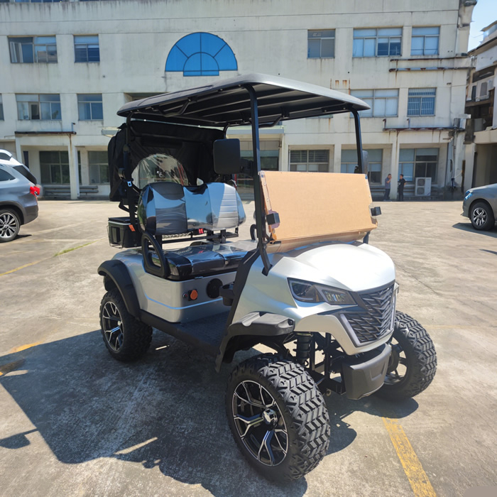 Custom 2 Person Electric Golf Cart