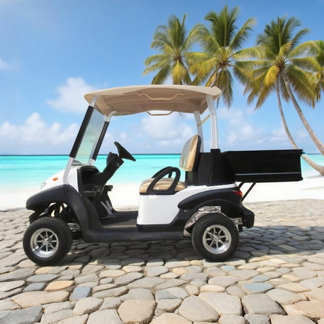 Custom utility golf cart with box manufacturer - Eagle Golf Cart