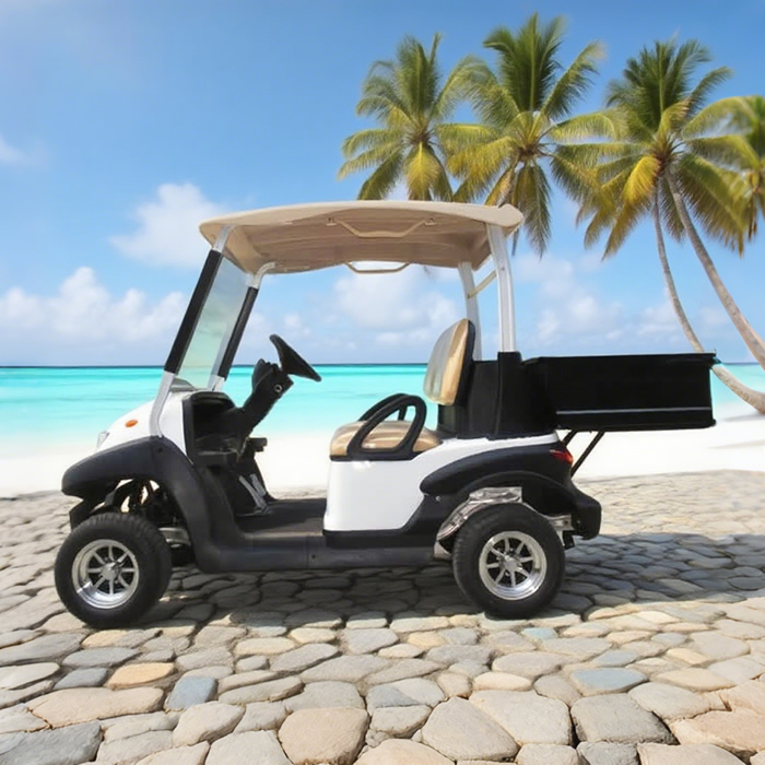 Custom utility golf cart with box manufacturer - Eagle Golf Cart