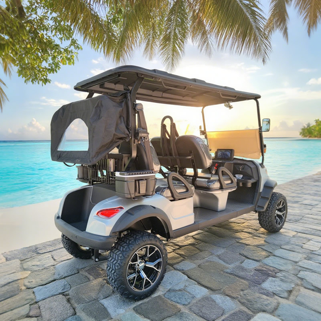 Custom Rear of 4 Seater Electric Golf Cart Manufacturer