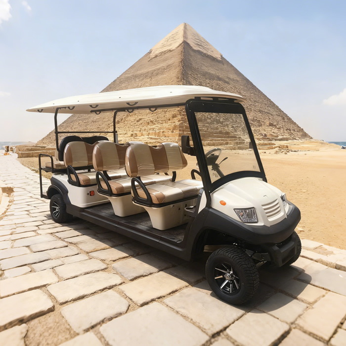 Eight 8 Passenger Person Seater Electric Buggy Golf Carts for Sale - EG206AKSZ