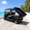 Custom Golf Cart Utility Bed with Cargo Box For Sale