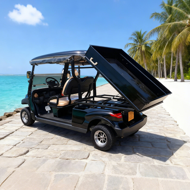 Custom Golf Cart Utility Bed with Cargo Box For Sale
