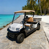 Electric Golf Cart Utility Cargo Bed Box For Sale