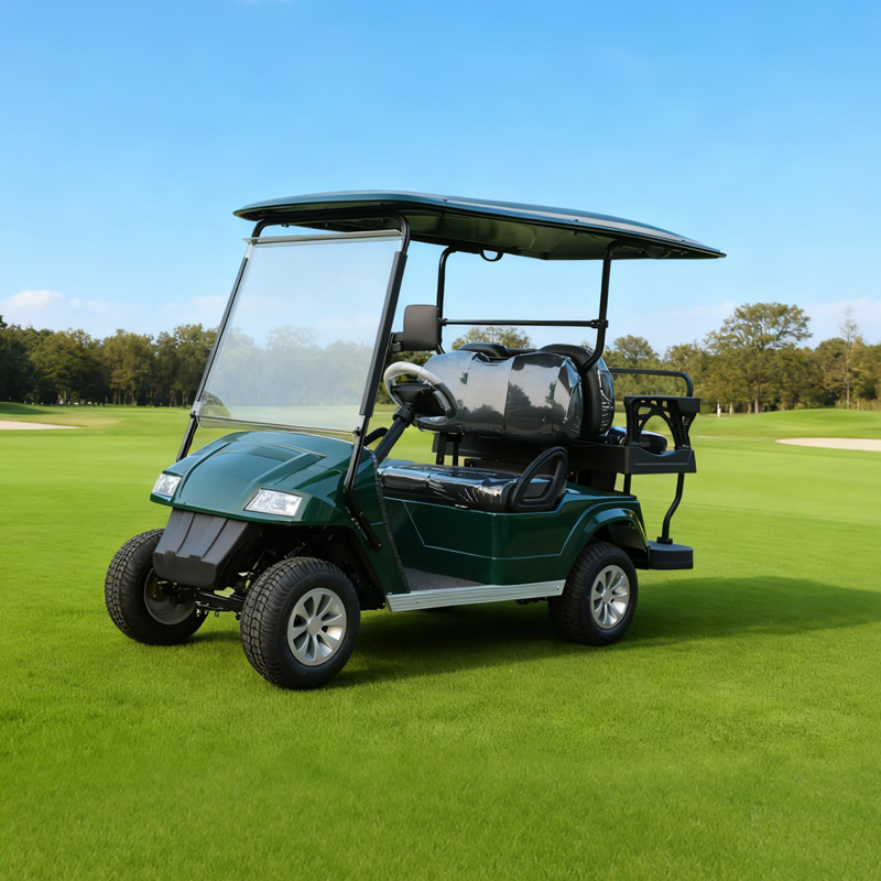 Custom Mini Electric LSV Golf Cart Golf Buggy Carts for Sale - EG2028KSZ