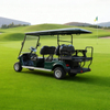 OEM ODM Chinese 48v Electric Custom Lithium Battery 6 Seater Golf Cart