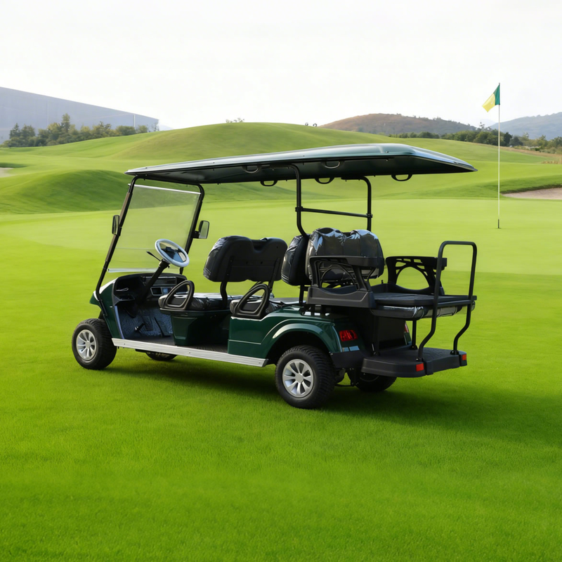 OEM ODM Chinese 48v Electric Custom Lithium Battery 6 Seater Golf Cart