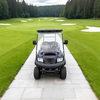 Top Manufacturer & Supplier of 6 Seater Golf Carts Prices