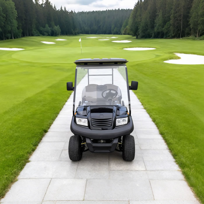 Top Manufacturer & Supplier of 6 Seater Golf Carts Prices