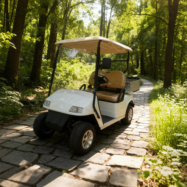 Golf Cart Aluminum Cargo Box with Stainless Steel Frame - EG2028H
