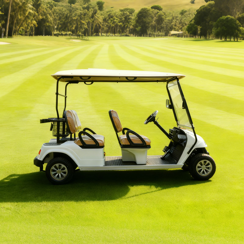 Custom High Quality Color Electric Lithium Battery Golf Cart for Sale