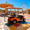 Custom Chinese 2 Seater Mini Golf Carts