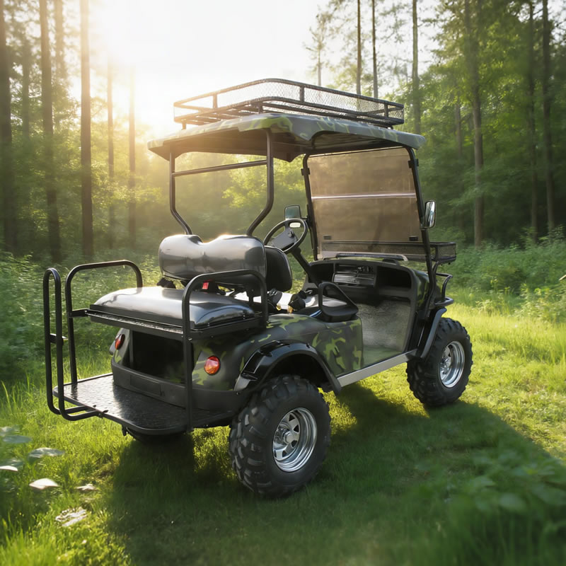 Custom Wholesale Lithium Electric Off Road Golf Cart 