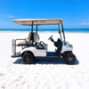 Luxury 4 Seater Golf Cart Electric - Eagle Golf Cart