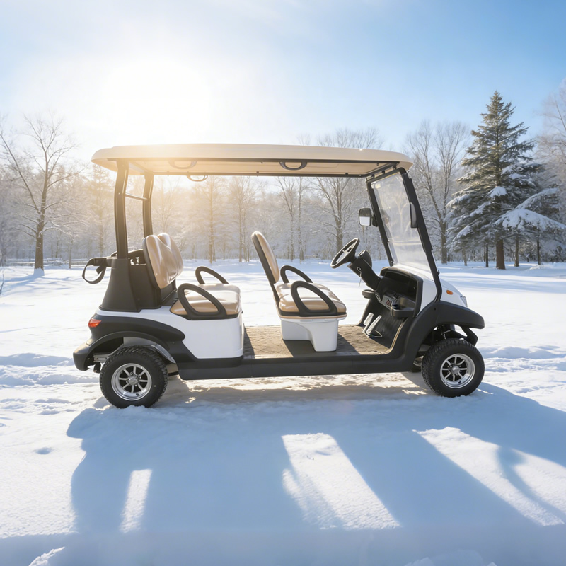 Chinese 4 seater golf carts wholesale - Eagle Golf Cart